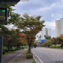 장충 달인의족발 | 김포맛집 장충달인의 족발 반반족발 내돈내먹