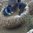 대목농장 이미지