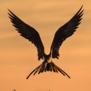 [국비지원 자격증과정] 승강기기능사&전기기능사 이미지