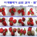 산성가축 이미지