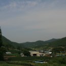 세장경로당 Daum카페