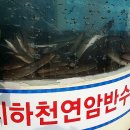 장어나라 이미지