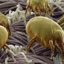 숲속동물병원 이미지