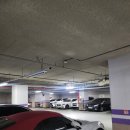 마린골프아카데미 | 해운대속성골프레슨 빠르고 제대로 골프 실력 키우기 골린이 후기 : 1981골프아카데미