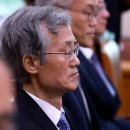 도도독B 이미지