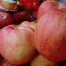 아리랑야채과일 이미지