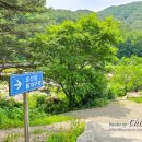 돌개구멍 화장실 이미지