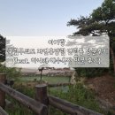 하나개해수욕장 -번영회 옆 | 아기랑 무의도 자연휴양림 연립동 방문후기(feat. 하나개 해수욕장 방문 후기)