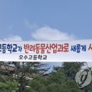 오수고등학교 이미지