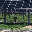 창현 태양광발전소 이미지