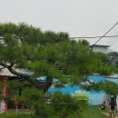 펫피랜드 이미지