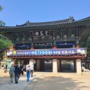 동해여행사