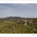 신전 이미지