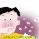 비염의 원인과 좋은 민간요법 이미지