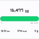 오늘도 빛나 이미지