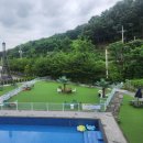 Most 417(모스트417) | 드라이브 겸 강아지와 힐링 타임! 안성대형카페 Most 417 방문 후기