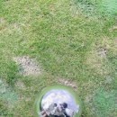 배프로 골프 클리닉 이미지