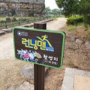 청도읍성 티스토리