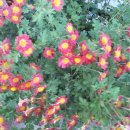 옥수동성당 이미지