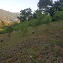 무림농장 이미지