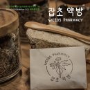 시티애즈네이처