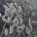 크린스타세탁소 이미지