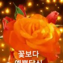 마누라 바람피운 흔적 이미지