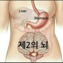 방영학 - 달서구 야외음악당로 64 | 방영학