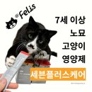케어플러스원 주식회사 | 닥터펠리스 고양이영양제 세븐플러스케어, 우리집 노묘 솔직 체험기