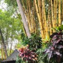 치유요가반 이미지