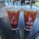 마이달링독 이미지