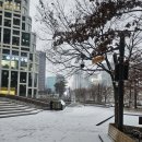 [종로3가 술집] 오고또포차 내돈내산 후기 : 막회, 과메기, 해물파전 안주 맛집