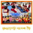 카페해나무