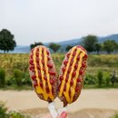 숲속의 연화 펜션 이미지