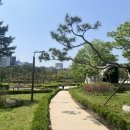 종묘주차장 옆 이미지