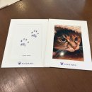 메디 포즈 동물병원 | 대전 반려동물 장례식장 포포즈 세종점 | 나비 떠난날