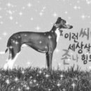 남일2체육관 이미지