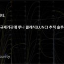 루나솔루션