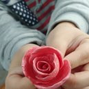 동그리솝 이미지