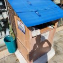 엄마손빨래방 이미지