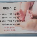 금빛동물병원 | 성남 금빛여성의원 제왕절개 출산 남편후기 2탄