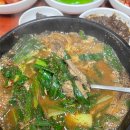 고우국밥
