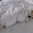 창명한의원 이미지