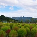 강변공원주차장 이미지