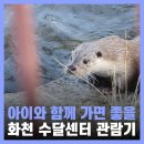 화천군수달연구센터 | 화천 가볼만한 곳 아이와 함께하면 좋은 한국수달연구센터