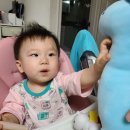 엄마의 그림책 놀이 이미지