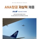 지상외항사지상직 경쟁률과 합격생 스펙 분석｜ANC 크루팩토리 합격 준비법 공유