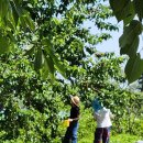 꼬망세어린이집 이미지