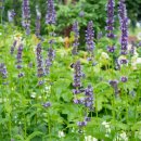 우리들의원.한의원 이미지