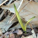 난과인연12월 송년산행 이미지